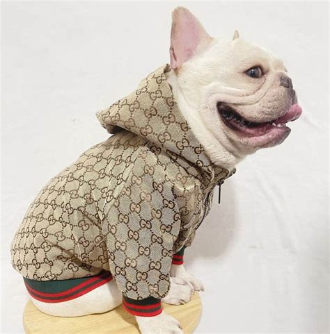 gucci kinder pet|gucci clothes for dog.